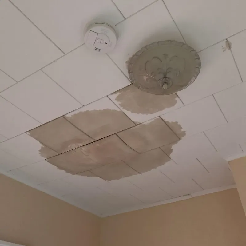 Ceiling Water Damage Repair in Granbury, TX