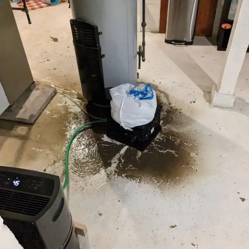 Sewage Backup Cleanup Service in Granbury, TX